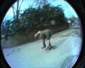 front shove peerrrrffffectoff the worst run up and roll out though you canna tell