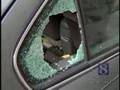 BB Gun Vandals Strike Again