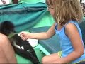 wild-monkey-in-belize.html