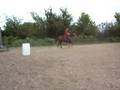 Stormy APHA Mare 4-sale. circles.