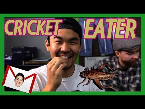Cricket Eater! (Teehee Time)
