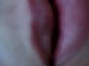 dsdsd dsdsd