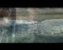 Lloret da mar 2007:Boat trip