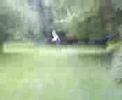 Dumb Redneck gets naked in the park