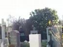 Russisch-orthodoxer Friedhof am Zentralfriedhof Russisch-orthodoxer Friedhof am Zentralfriedhof