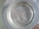 Baby fish at 2 weeks old