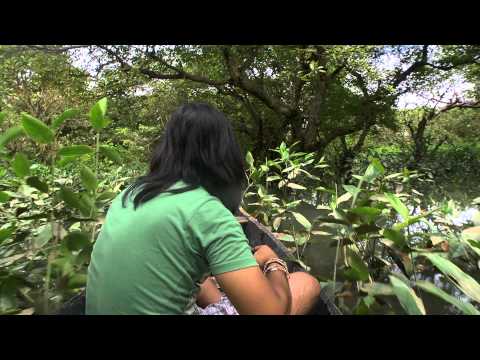 sylhet -