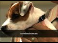 Video zur Welpenerziehung - Fühlt Ihr Welpe sich wohl? (Episode 10) Video zur Welpenerziehung - Fühlt Ihr Welpe sich wohl? (Episode 10)
