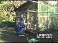 [画像]