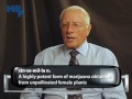 MPP-TV - Profiles in Marijuana Reform: John Newmeyer, Ph.D. MPP-TV - Profiles in Marijuana Reform: John Newmeyer, Ph.D.
