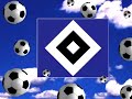 Wir stehen zum HSV
