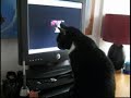 Oliver watches his own video