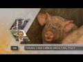 Euronews U Talk - L europe Repense Sa Politique Agricole Commune