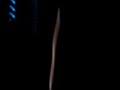L�a Castel et Soprano - derni�re chance chant�e par la GOLD
