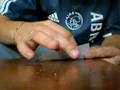Lekkere Amsterdamse Wiet Joint.( nice amsterdam weed joint)