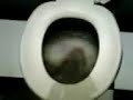 o adeus