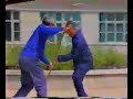 Wang Pei Sheng Taiji Quan Wang Pei Sheng Taiji Quan