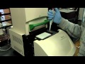 Joe Flaherty - RealTime PCR Demonstration