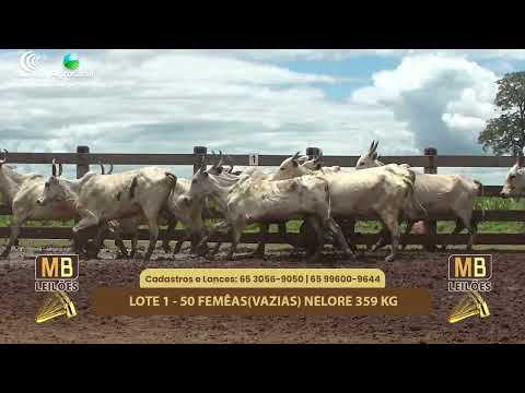 528� LEIL�O VIRTUAL MB LEIL�ES