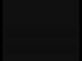 Superior vs. Ayrton WTCC