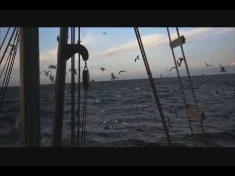 youtube fernao capelo gaivota full movie youtube fernao capelo gaivota full movie