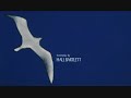 Jonathan Livingston Seagull - Be