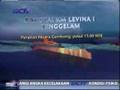 Infographics Levina