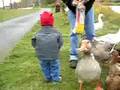 Lex and the old gray goose.