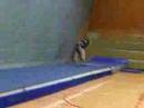 Gymastics