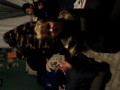 my b-day party wild time