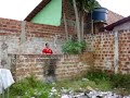 Tiro ao Alvo Godinho