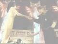 Final Fan...