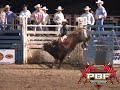 Professional Bull Fighters Tour
