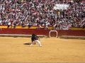 Concurso de Recortes Fiestas Magdalena Castellón 11-03-2007