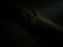 Jezioro Płotki - Nurkowanie nocne