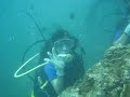 Diving in Bali 4