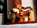 Tigger - Lets Bounce