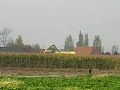 maisoogst 2007 VI