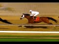 Big Brown wins the 2008 Preakness