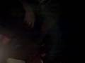 videos de blake opens beer ruins table