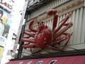 Giant Crab in Dotonbori