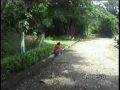 Human Development 1/4 Human Development 1/4