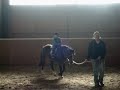 Montando a caballo en el Uckermark. Potzlow. Brandemburg. Alemania