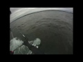new years kite sesh
