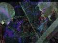 Dance with the Devil/Devil May Cry