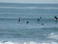 Surfing in La Jolla at Windandsea Beach