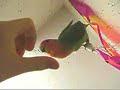 Gross Lovebird Gross Lovebird
