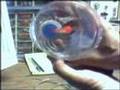 Hydrogen HHO Electrolyzer MODIFICATIONS 2007/08/06