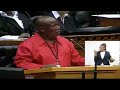 Malema in Parliament