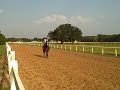 Folsom Thoroughbred Training Center Folsom Thoroughbred Training Center